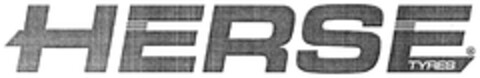 HERSE Logo (DPMA, 09/02/2008)