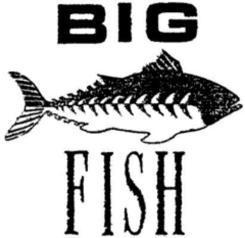 BIG FISH Logo (DPMA, 10.05.1993)