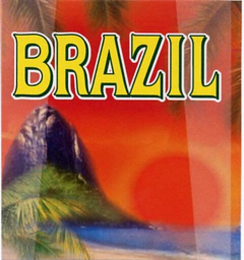 BRAZIL Logo (DPMA, 05.11.2003)