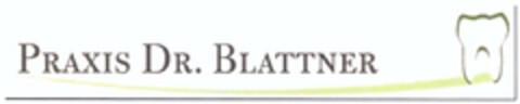 PRAXIS DR. BLATTNER Logo (DPMA, 11.02.2010)