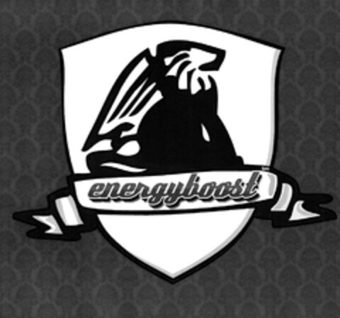 energyboost Logo (DPMA, 06.06.2010)