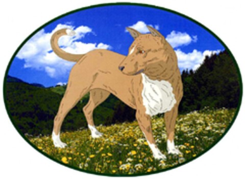 30300657 Logo (DPMA, 10.01.2003)