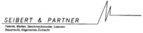 SEIBERT & PARTNER Logo (DPMA, 22.05.1997)