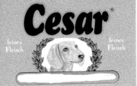 Cesar feines Fleisch Logo (DPMA, 07/26/1984)