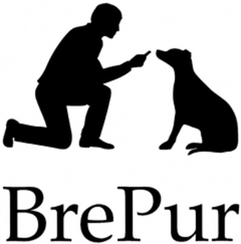 BrePur Logo (DPMA, 17.09.2013)