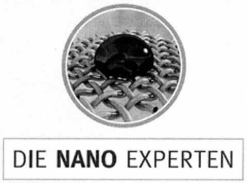 DIE NANO EXPERTEN Logo (DPMA, 21.11.2005)