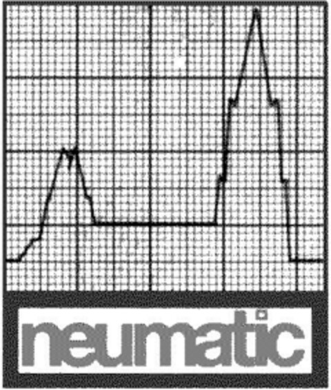 neumatic Logo (DPMA, 31.03.1994)