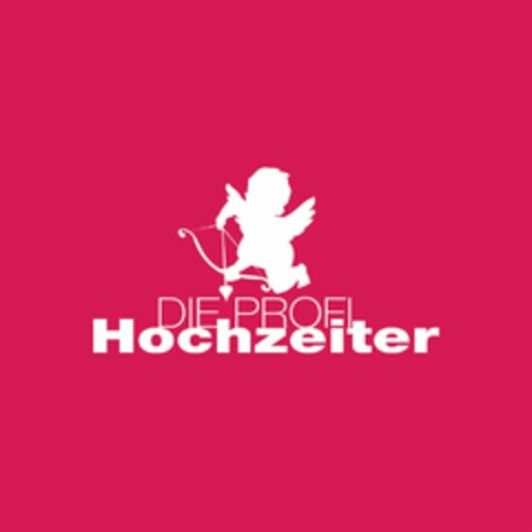 DIE PROFI Hochzeiter Logo (DPMA, 30.03.2016)