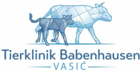 Tierklinik Babenhausen VASIĆ Logo (DPMA, 15.11.2021)