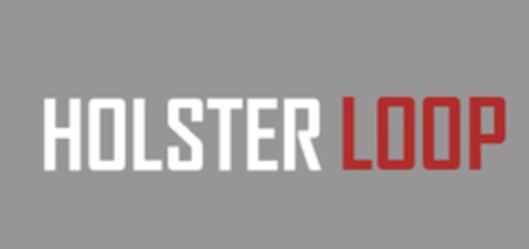 HOLSTER LOOP Logo (DPMA, 07/08/2024)