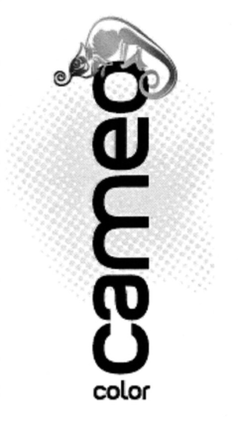 cameo color Logo (DPMA, 07/26/2007)