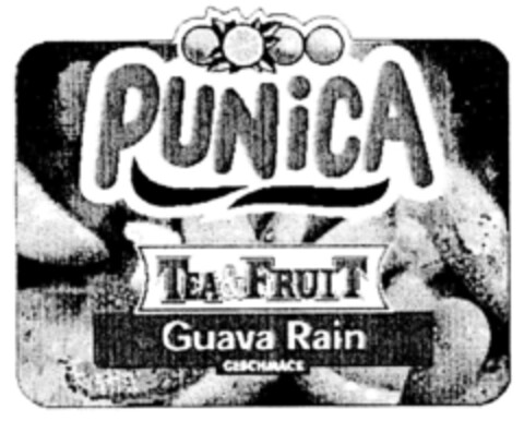 PUNICA TEA&FRUIT Logo (DPMA, 14.01.2000)