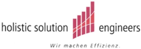 holistic solution engineers Wir machen Effizienz. Logo (DPMA, 12.05.2012)