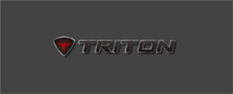 TRITON Logo (DPMA, 19.05.2015)