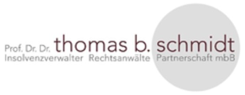 Prof. Dr. Dr. thomas b. schmidt Insolvenzverwalter Rechtsanwälte Partnerschaft mbB Logo (DPMA, 01.10.2015)