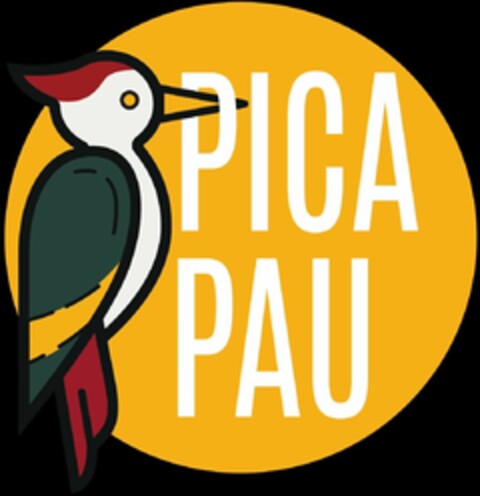 PICA PAU Logo (DPMA, 06.06.2023)