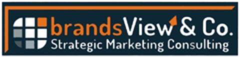 brandsView & Co. Strategic Marketing Consulting Logo (DPMA, 25.10.2017)