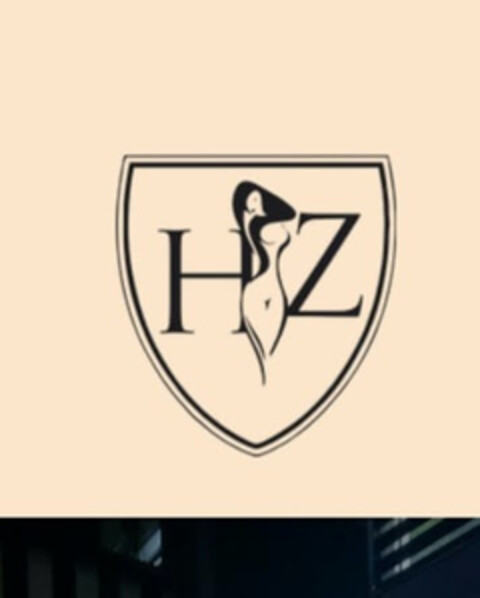 H Z Logo (DPMA, 01/27/2023)