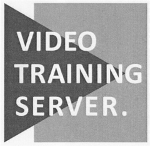 VIDEO TRAINING SERVER. Logo (DPMA, 18.10.2010)