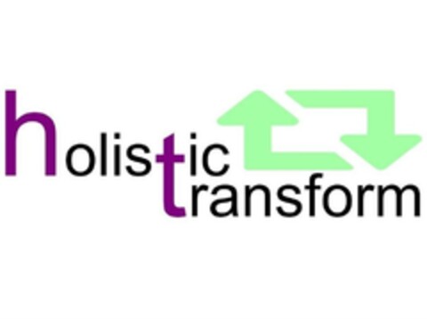 holistic transform Logo (DPMA, 01/03/2017)