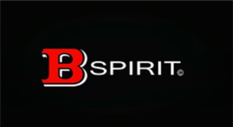 BSPIRIT Logo (DPMA, 02.01.2018)