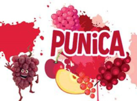 PUNiCA Logo (DPMA, 02/06/2019)