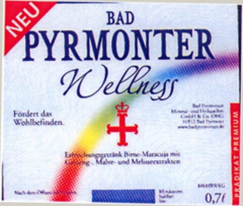 BAD PYRMONTER Wellness Logo (DPMA, 30.06.2004)