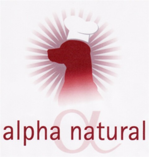 alpha natural Logo (DPMA, 26.03.2008)