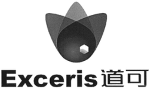 Exceris Logo (DPMA, 21.11.2019)