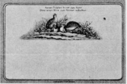 Keinen Tropfen trinkt das Huhn Ohne einen Blick zum Himmel aufzutun Logo (DPMA, 12.12.1929)