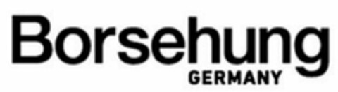 Borsehung GERMANY Logo (DPMA, 12.03.2021)