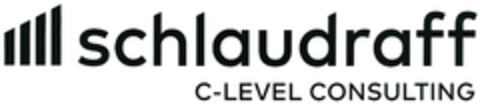 schlaudraff C-LEVEL CONSULTING Logo (DPMA, 06.02.2025)