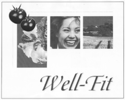 Well-Fit Logo (DPMA, 05.10.2007)