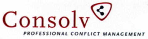 Consolv PROFESSIONAL CONFLICT MANAGEMENT Logo (DPMA, 06/18/2001)