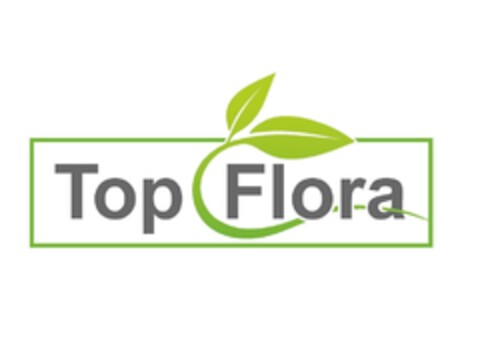 Top Flora Logo (DPMA, 09/07/2018)