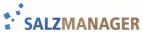 SALZMANAGER Logo (DPMA, 10/21/2006)