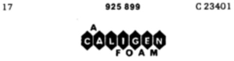 A CALIGEN FOAM Logo (DPMA, 04.07.1973)