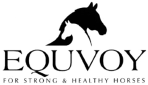 EQUVOY Logo (DPMA, 15.12.2009)