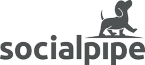 socialpipe Logo (DPMA, 10.11.2020)