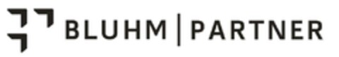 BLUHM | PARTNER Logo (DPMA, 07/21/2009)