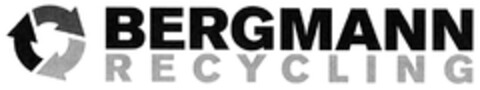 BERGMANN RECYCLING Logo (DPMA, 29.08.2012)