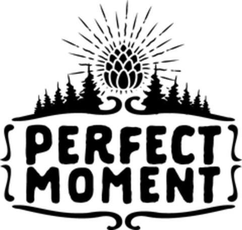 PERFECT MOMENT Logo (DPMA, 20.02.2019)