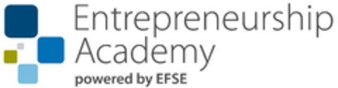 Entrepreneurship Academy powered by EFSE Logo (DPMA, 12/11/2020)