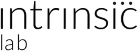 intrinsic lab Logo (DPMA, 09.05.2022)