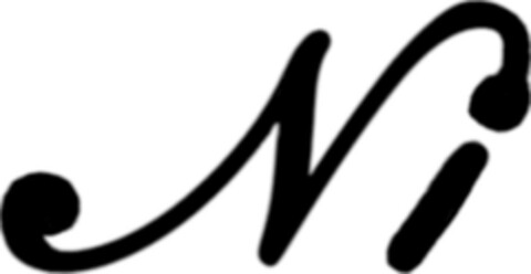 Ni Logo (DPMA, 01/25/2024)