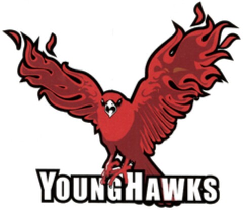 YOUNGHAWKS Logo (DPMA, 16.06.2006)