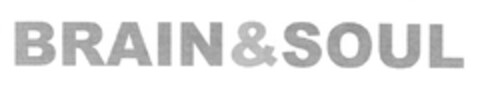 BRAIN&SOUL Logo (DPMA, 04.11.2013)