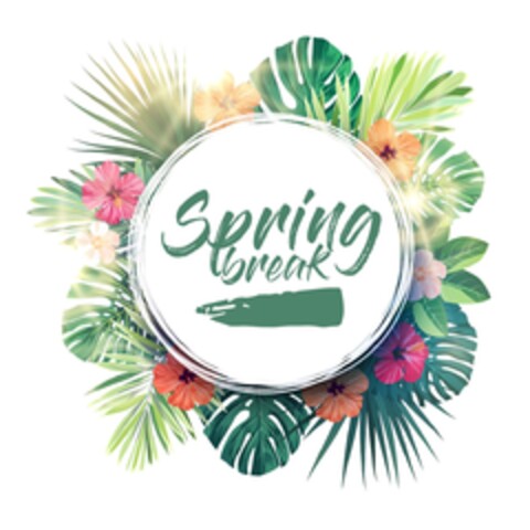 Spring break Logo (DPMA, 13.03.2019)