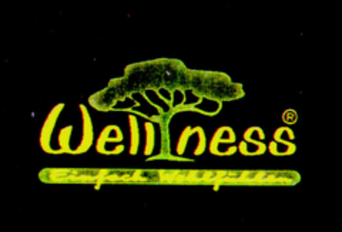 Wellness Logo (DPMA, 14.06.1996)