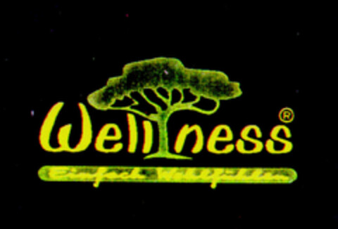 Wellness Logo (DPMA, 06/14/1996)